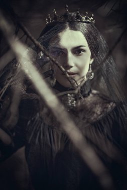 Sarayın parkında siyah elbiseli ve duvak takmış genç, çarpıcı bir aristokrat kadın duruyor. 19. yüzyıl. Trajedi, roman. Fantezi. Güzel Siyah Kraliçe. 