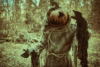 Cadılar Bayramı Masalları. Kafasında bir balkabağı kafasında ve çuval bezi bornozuyla balkabağı fenerinin hayaleti Cadılar Bayramı arifesinde ormanda gezinir. Korku, gerilim.