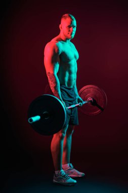 Ağırlık kaldırma. Bir erkek halterci antrenman sırasında halteri kaldırır. Profesyonel spor. Koyu arkaplanda kırmızı ve yeşil ışıklı tam boy portre.