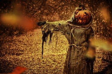 Kafasında balkabağı olan ve elinde çuval bezi bornozu olan Jack-O 'Lantern' in hayaleti elini yana doğru uzatıyor. Uzayı kopyala Cadılar Bayramı Masalları. Korku, gerilim.