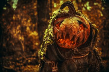 Kafasında bir balkabağı kafasında ve çuval bezi bornozuyla balkabağı fenerinin hayaleti Cadılar Bayramı arifesinde ormanda gezinir. Cadılar Bayramı Masalları. Korku, gerilim.