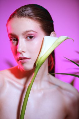 Güzellik, kozmetik ve parfüm. Nazik makyajlı güzel bir genç kadın bir kalla çiçeğiyle poz veriyor. Kırmızı ışıklı mor arkaplan. 