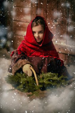 Eski bir peri masalının küçük kahramanı Noel arifesinde bir sepet köknar ağacı dallarıyla ahşap bir evde oturuyor. Noel Masalı.