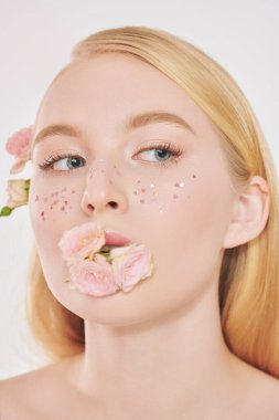 Açık renk makyajlı, parlak çilli ve soluk pembe güllü narin sarışın bir kızın yakın çekimi. Güzellik konsepti. Kozmetik ve makyaj malzemeleri. Beyaz arka plan. Güzellik bakımı. Parfüm.