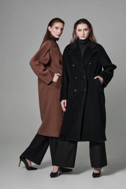 Moda fotoğrafı. Moda modasına uygun poz veren iki model kadın beyaz stüdyo arka planında paltolar hissetti. Yeni yarı sezon koleksiyonu.