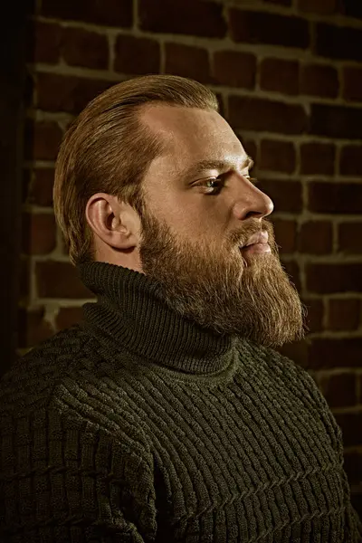 Cesaret ve güç. Tuğla bir duvarın arkasında duran ve sakince ve kendinden emin bir şekilde ileriye bakan örgü örülü süveter giyen iri sakallı bir adamın profil portresi..