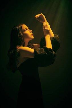 Güzel, şehvetli, uzun dalgalı saçlı, siyah elbiseli, siyah omuzları koyu bir arka planda duran, sıcak bir ışık huzmesi tarafından aydınlatılmış genç bir kadının sanat portresi. Retro biçimi.