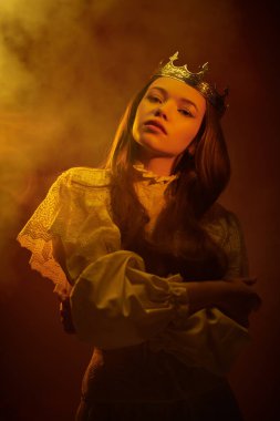 Peri masallarındaki prenses. Güzel, gururlu bir ortaçağ prensesinin portresi. Koyu kırmızı stüdyo geçmişi. Fantezi.