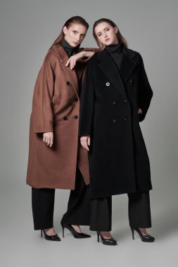 Moda fotoğrafı. Moda modasına uygun poz veren iki model kadın beyaz stüdyo arka planında paltolar hissetti. Yeni yarı sezon koleksiyonu.