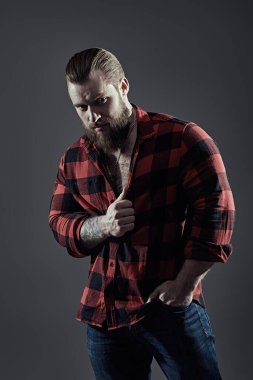 Berber dükkanı reklamı. Gri bir stüdyo arka planında ekose gömlekli, sakallı yakışıklı bir adamın portresi. Erkek güzeli. Erkeklik ve güç.