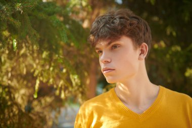 Sarı kazaklı yakışıklı bir gencin portresi bir yaz parkındaki kozalaklı ağaçların arka planına karşı. Güneşli bir gün. İnsanlar, hayat anları, duygular. Yaz zamanı..