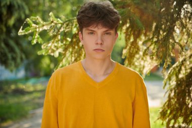 Sarı kazaklı yakışıklı bir gencin portresi bir yaz parkındaki kozalaklı ağaçların arka planına karşı. Güneşli bir gün. İnsanlar, hayat anları, duygular. Yaz zamanı..