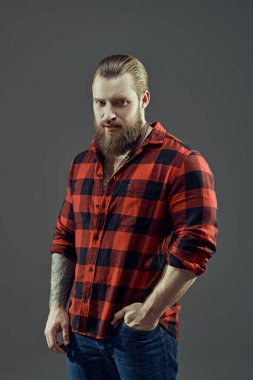 Berber dükkanı reklamı. Gri bir stüdyo arka planında ekose gömlekli, sakallı yakışıklı bir adamın portresi. Erkek güzeli. Erkeklik ve güç.
