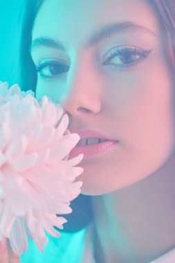 Güzellik portresi. Kasımpatı çiçekli güzel bir esmer kız mavi arka planda poz veriyor. Makyaj ve makyaj malzemeleri. Parfüm.