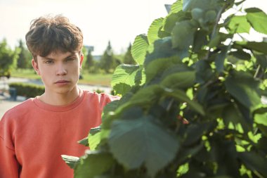 Pembe kazaklı yakışıklı bir gencin portresi bir yaz parkındaki kozalaklı ağaçların arka planına karşı. Güneşli bir gün. İnsanlar, hayat anları, duygular. Yaz zamanı.. 