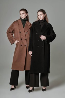 Moda fotoğrafı. Moda modasına uygun poz veren iki model kadın beyaz stüdyo arka planında paltolar hissetti. Yeni yarı sezon koleksiyonu.