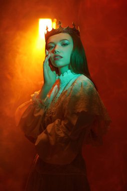 Peri masallarındaki prenses. Güzel, gururlu bir ortaçağ prensesinin portresi. Koyu kırmızı stüdyo geçmişi. Fantezi.