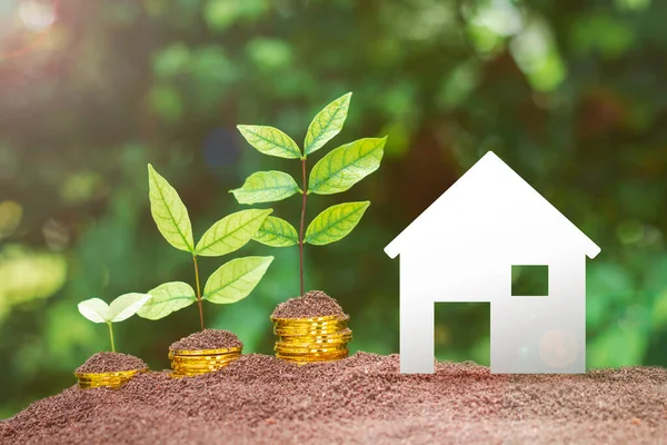 stock image Saving money for house concept. Trees growing on stack of coins with white house against lens flare and green bokeh background.