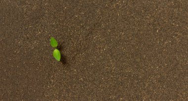 İşadamı üst düzey hizmet kalitesi güvencesinin işaretini gösterdi.