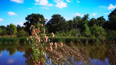 İngiltere 'nin görkemli göl ve göl arazisi.