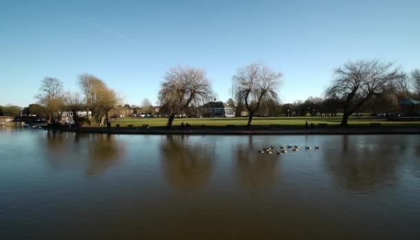 River Avon Stratford Avon Warwickshire England Swans — Vídeo de stock