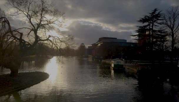 River Avon Stratford Avon Warwickshire England Swans — Vídeos de Stock