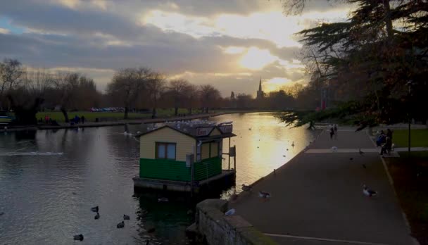 River Avon Stratford Avon Warwickshire England Swans — Stok Video