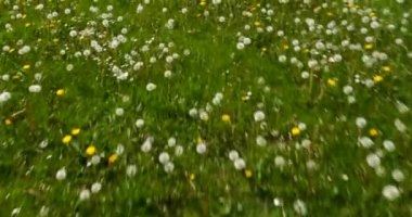 Yürüyen yürüyüşçüler spor salonu eğlencesi