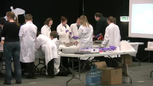 Εκπαίδευση Μαθητές Μια Επιστημονική Έκθεση Στο Birmingham West Midlands Rngland — Αρχείο Βίντεο