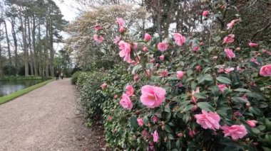Baddesley clinton heybetli ev warwickshire İngiltere İngiltere