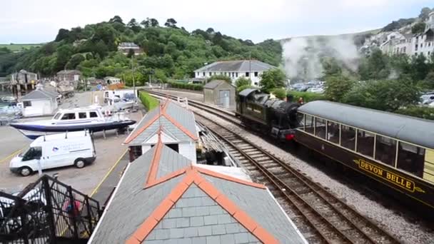 Ferrocarril Vapor Dartmouth Anteriormente Conocido Como Ferrocarril Vapor Paignton Dartmouth — Vídeos de Stock