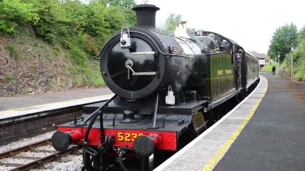 Kolej Parowa Dartmouth Dawniej Znana Jako Paignton Dartmouth Steam Railway — Wideo stockowe