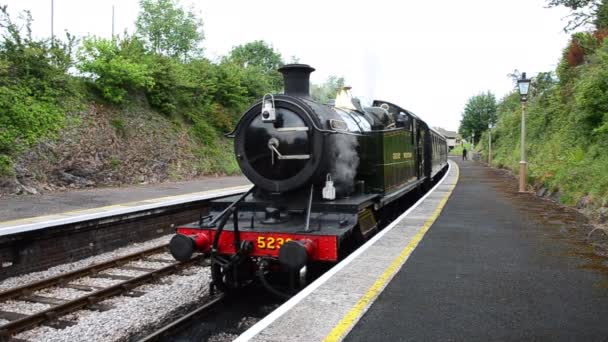 Dartmouth Steam Railway Anciennement Connu Sous Nom Paignton Dartmouth Steam — Video