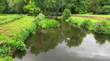 Nehir Ormanı İngiltere