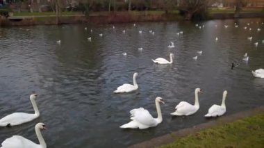 Avion Stratford nehri Avon Warwickshire İngiltere üzerine