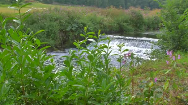 River Avon Warwickshire Midlands England Waterfall — Stock Video