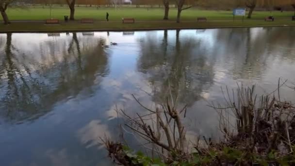 Rivière Avon Stratford Avon Warwickshire England — Video