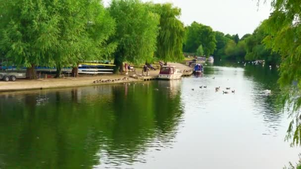 Rivière Avon Stratford Avon Warwickshire England — Video