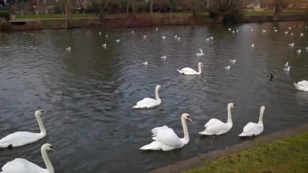 River Avon Stratford Avon Warwickshire England — Stockvideo