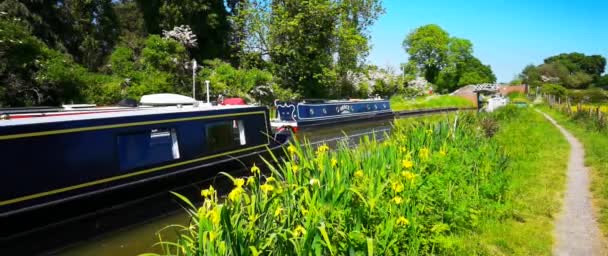 狭いボートの上の人々のワイドスクリーンパノラマのアナモフィック映像 ストラトフォード運河木製のWen Warwickshire — ストック動画