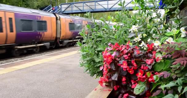 Comboio Ferroviário Passageiros Pendulares Rede Ferroviária Britânica Zona Rural Inglesa — Vídeo de Stock