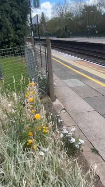 イギリスの鉄道ネットワーク駅ドリッジ ソリハル ウェスト ミッドランズ イギリス 4Kで撮影された垂直ビデオ ストック動画