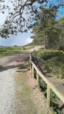 Dikey 4K Video - Lickey Hills Country Park, Orman ve Heathland, Batı Midlands İngiltere.