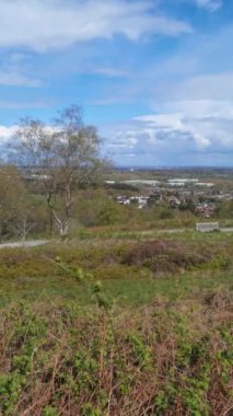 Dikey 4K Video - Lickey Hills Country Park, Orman ve Heathland, Batı Midlands İngiltere.