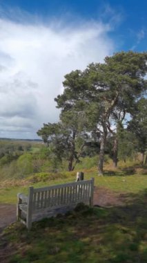 Dikey 4K Video - Lickey Hills Country Park, Orman ve Heathland, Batı Midlands İngiltere.