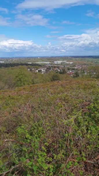 Vertical Video Lickey Hills Country Park Forest Heathland West Midlands — Stock video