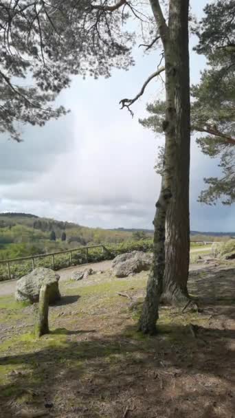Vertical Video Lickey Hills Country Park Forest Heathland West Midlands — Vídeo de Stock
