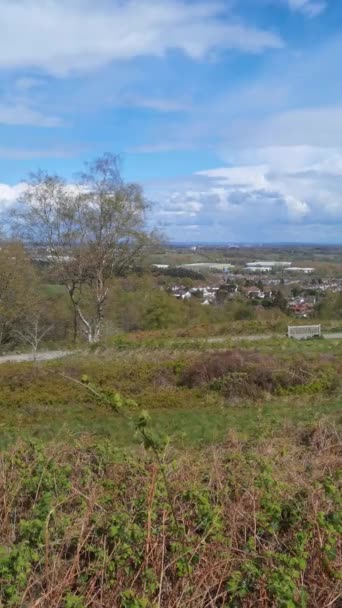 Vidéo Verticale Lickey Hills Country Park Forêt Bruyère West Midlands — Video