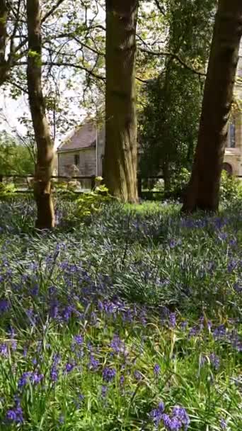 垂直4Kビデオ 緑の木に囲まれた美しい春の花畑の垂直撮影 ロイヤリティフリーストック映像