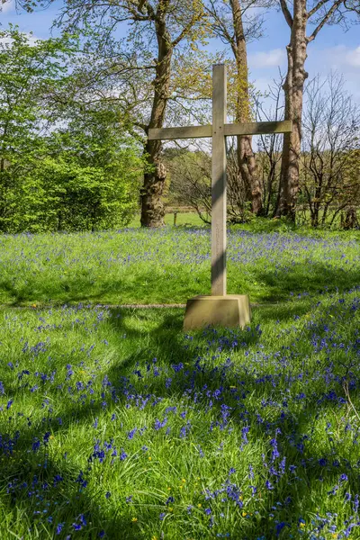 蓝铃木墓地巴迪丝利 莱顿庄园英国沃里克郡 图库图片